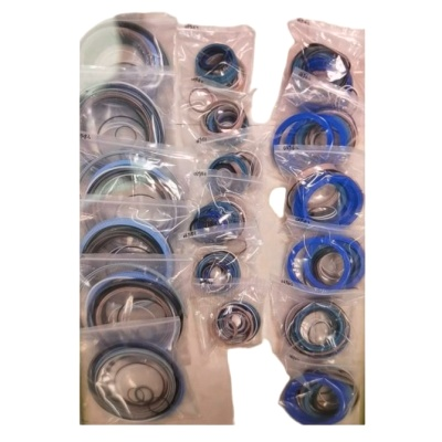 Seal Kit / Snag Cylinder Type: 0691813-220/160-D