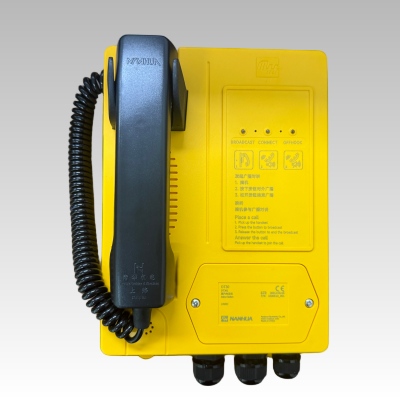 DT301 Indoor Telephone