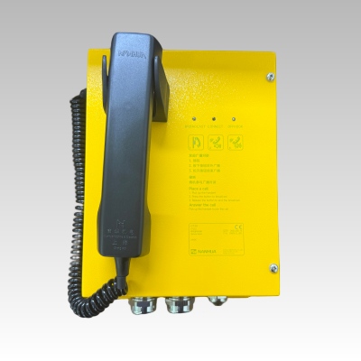 DT303 Driver Telephone